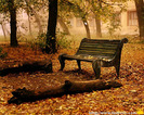 autumn wallpaper-2