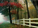 autumn-nature-wallpaper1