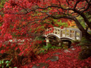 hd autumn images-1