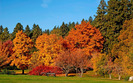 ws_Autumn_colours_1280x800