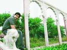 SHAHID (84)
