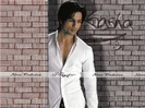 SHAHID (31)