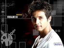 SHAHID (92)