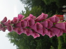 P6050835