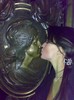 2lmp5qp