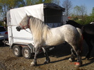 14434878_YWYAQPDGH[1]