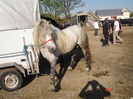 14434892_RISRGPRLU[2]