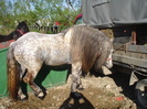 14434911_BNNDZCXHY[2]