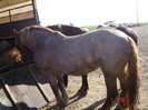 14435013_GDFIHMFUH[1]