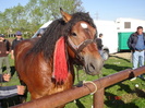 14435076_LYATBJTOO[2]