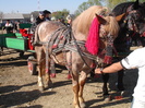 14435190_PCTRAGXIA[2]