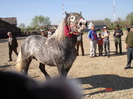 14435264_PSNPBDOBQ[1]