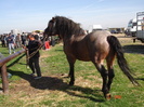 14435567_CKRYIEQTI[1]