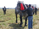 36531332_FQTHBURTU[1]