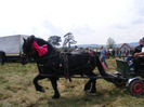 36531448_YMUAMCYOL[2]
