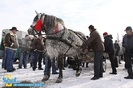 2-expozitie-de-cai-sibiu-2010-764962147[1]