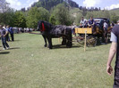 P22-05-11_14.21