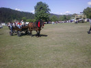 P22-05-11_16.36