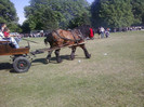 P22-05-11_16.36[1]