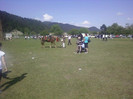 P22-05-11_16.38[1]