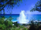 Spouting_Horn_Kauai_Hawaii