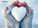 For Roxana11