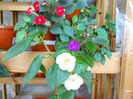 DSCN1047