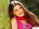 Bollywood Actress Hansika Motwani wallpapers54_jpg