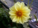my pictures- 8 sept 2011 016