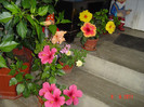 poze 133