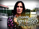 DL_Elisa_TemplateAMADOR3a___393x295