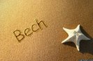 bech