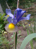 Photo0145