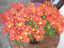 DSC01620