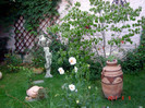 DSC01625