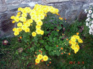 DSC01630
