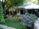 DSC01631