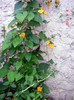 DSC01635