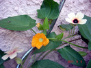 DSC01636