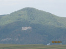 ocea la clin 032