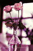 7db4d3aff3889aca142fa7a142ae50c5