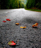 8884_by_karil-d4921s3