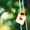 a_lady__s_love_by_eliseenchanted-d3hehfu