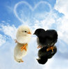 All_You_Need_Is_Love_by_ebrulii