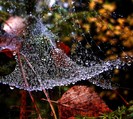 autumn____by_karil-d48umpn