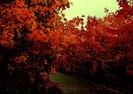 autumn_feeling_by_karil-d48lwe3