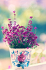 believe_in_us___by_lpdragonfly-d48vimo