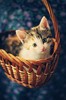 hello_my_little_friend_by_mniami-d48v060