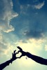 i_call_it_LOVE_by_kutuubocah