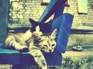 LoVe_by_Girl_Yo_Yo